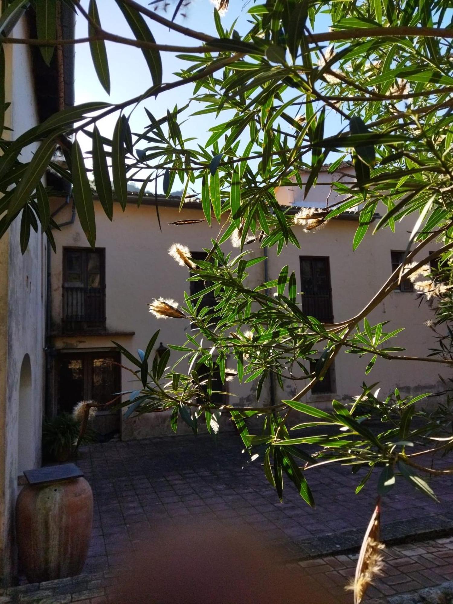 Bed and Breakfast Casa Bienvenida - Carcaixent Экстерьер фото